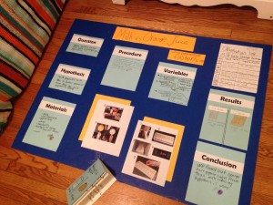 science fair project